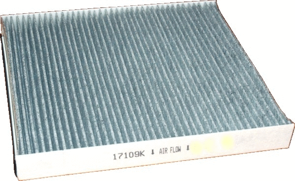 Filter, cabin air (17109K)