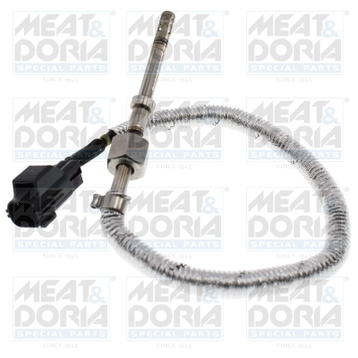 Sensor, exhaust gas temperature (12481)