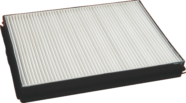 Filter, cabin air (17425F)