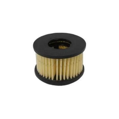 Fuel Filter (5091)