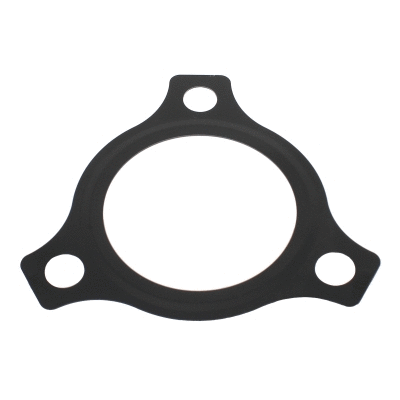 Seal, thermostat (016108)