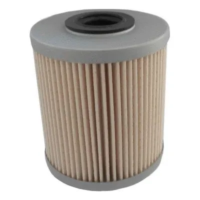 Fuel Filter (4811)