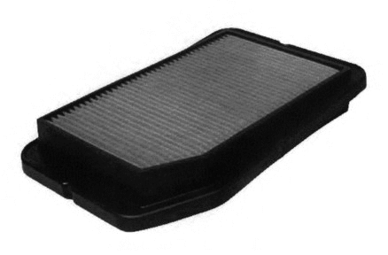 Air Filter (18058)