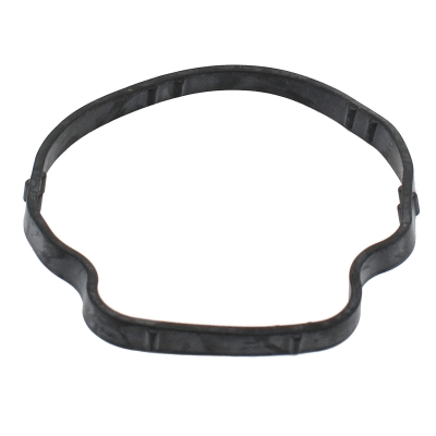 Seal, thermostat (01696)
