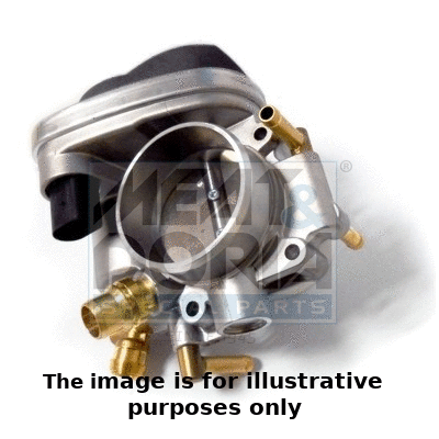 Throttle Body (89310E)