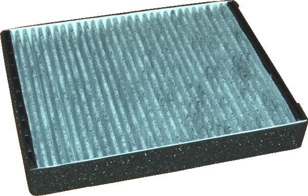 Filter, cabin air (17022K)