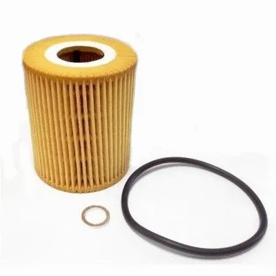 Oil Filter (14040)