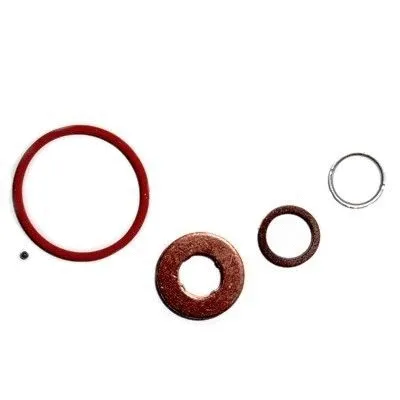 Repair Kit, injection nozzle (9574)