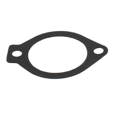 Seal, thermostat (016115)