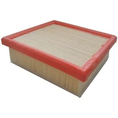 Air Filter (18646)