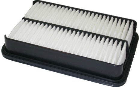 Air Filter (16002)