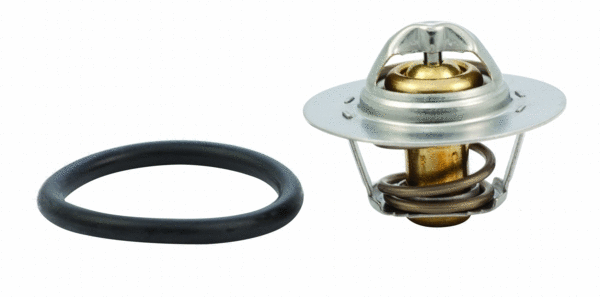 Thermostat, coolant (92143)