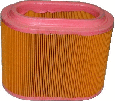 Air Filter (16090)