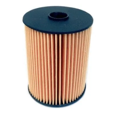 Fuel Filter (4831)