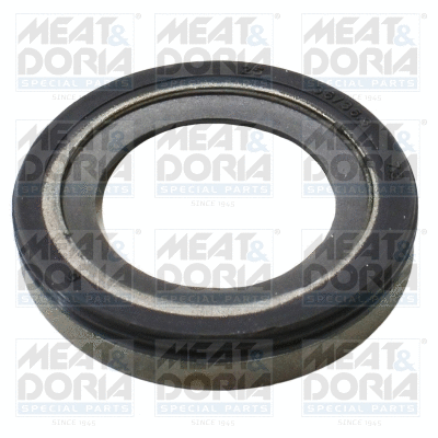 Shaft Seal, injector pump (98547)
