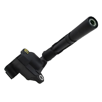 Ignition Coil (10819)