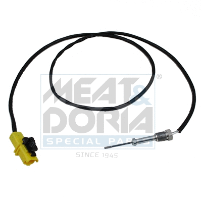 Sensor, exhaust gas temperature (12283E)