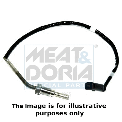 Sensor, exhaust gas temperature (12013E)