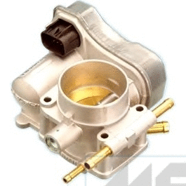 Throttle Body (89032R)