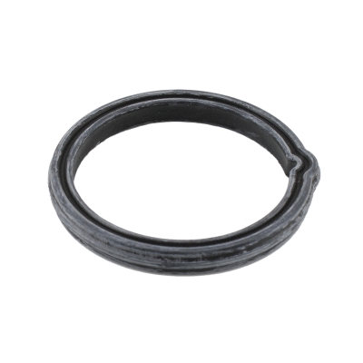 Seal, thermostat (01664)