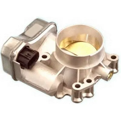 Throttle Body (89034)