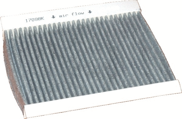 Filter, cabin air (17098K)