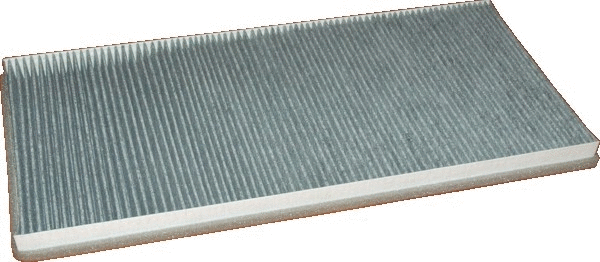 Filter, cabin air (17096K)