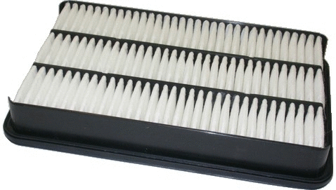 Air Filter (16005)
