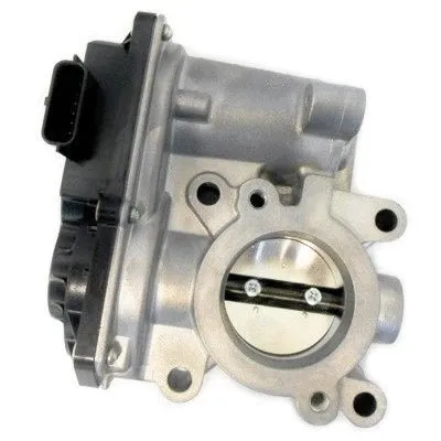 Throttle Body (89269)