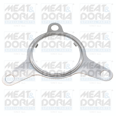 Gasket, EGR valve (016123)