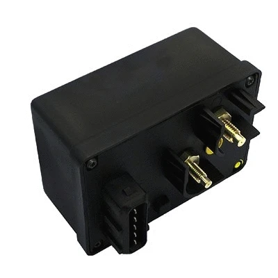 Control Unit, glow time (7285780)