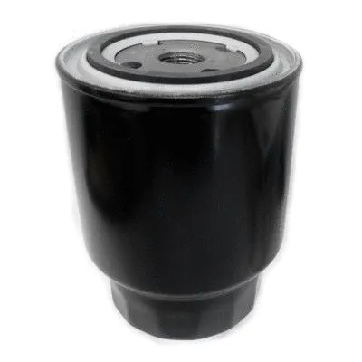 Fuel Filter (4543)