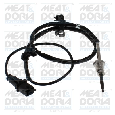 Sensor, exhaust gas temperature (12372)