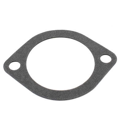 Seal, thermostat (01689)