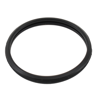 Seal, thermostat (01677)