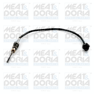 Sensor, exhaust gas temperature (12417)