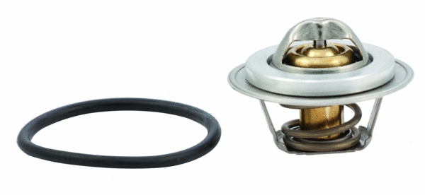 Thermostat, coolant (92737)