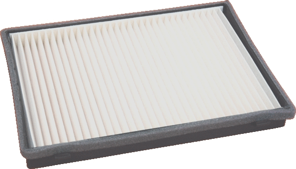 Filter, cabin air (17481F)