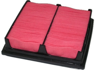 Air Filter (16041/2)