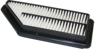 Air Filter (16040)