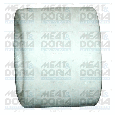 Fuel Filter (4997)