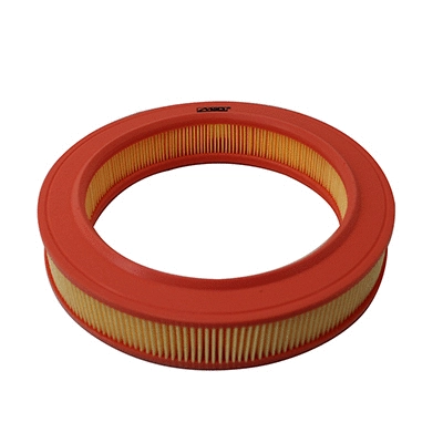 Air Filter (18709)