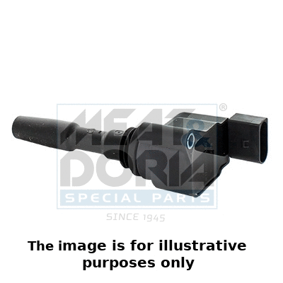 Ignition Coil (10817E)