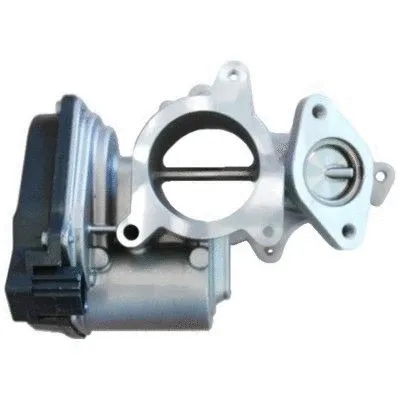 EGR Valve (88102R)