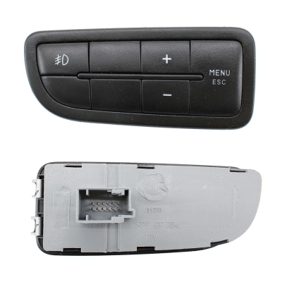 Multi-Function Switch (206123)