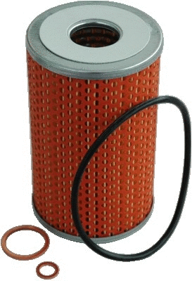 Oil Filter (14034)