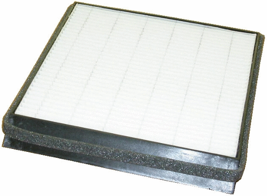 Filter, cabin air (17089F)