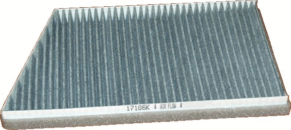 Filter, cabin air (17106K)