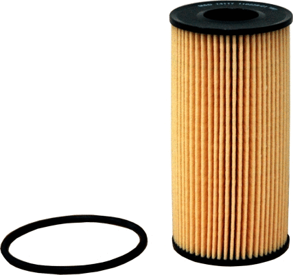 Oil Filter (14117)
