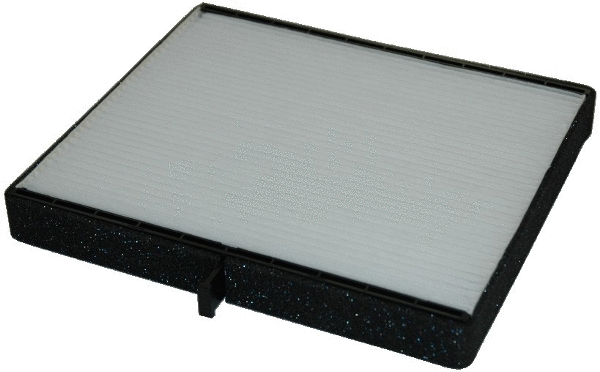 Filter, cabin air (17355F)